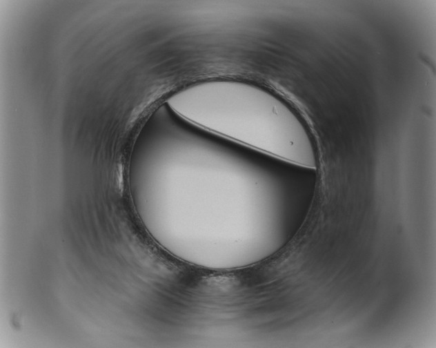 X0000101680067200807101154