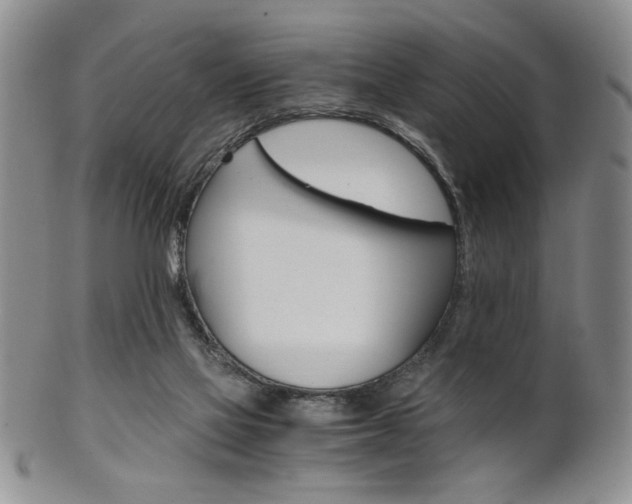 X0000101680069200807101154