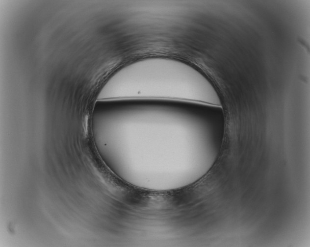 X0000101680070200807101154