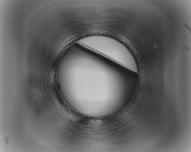 X0000101680071200807101154