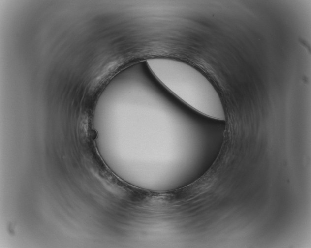 X0000101680072200807101154