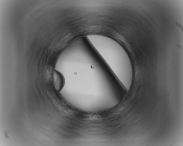 X0000101680073200807101154