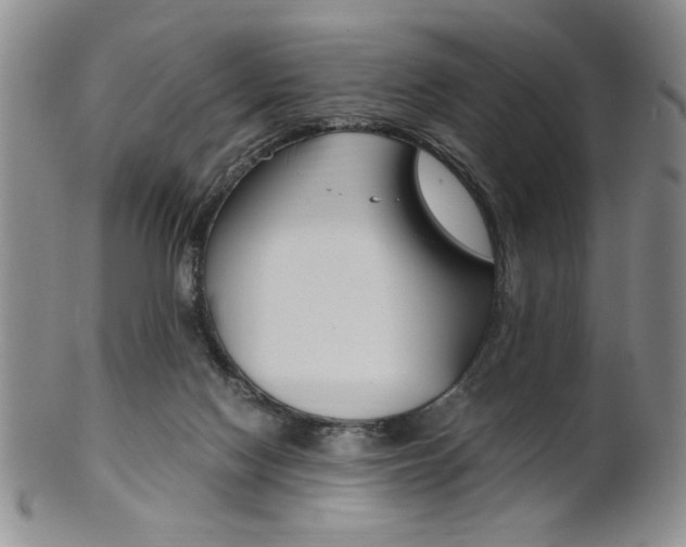 X0000101680074200807101154