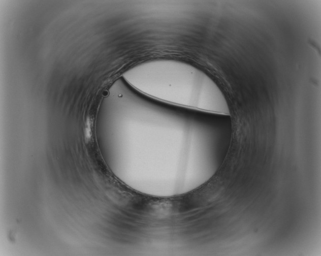 X0000101680075200807101154