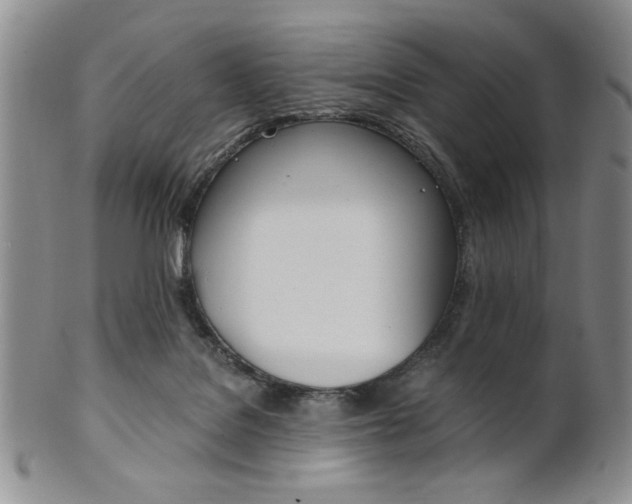 X0000101680076200807101154