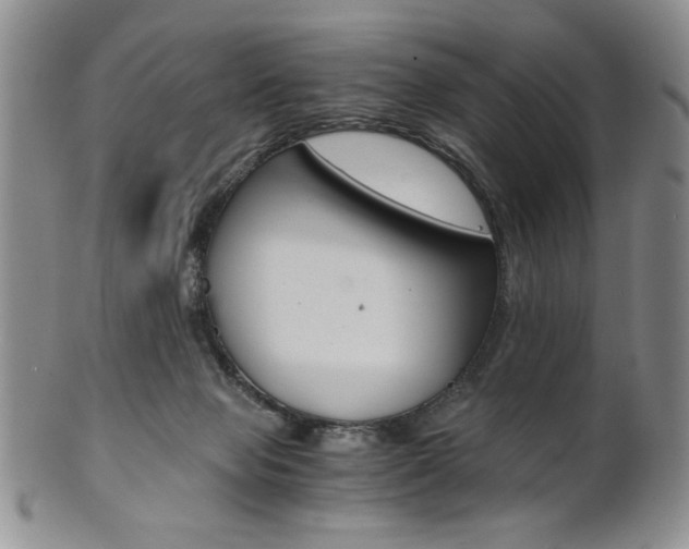 X0000101680077200807101154