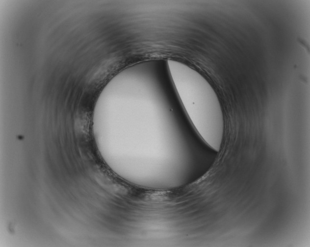 X0000101680078200807101154