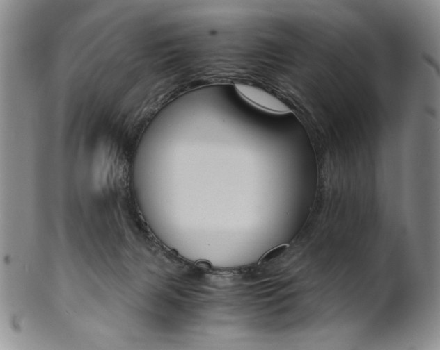 X0000101680079200807101154