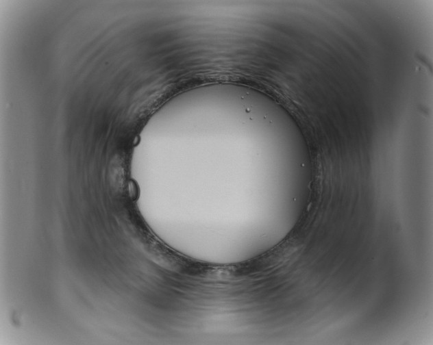 X0000101680080200807101154