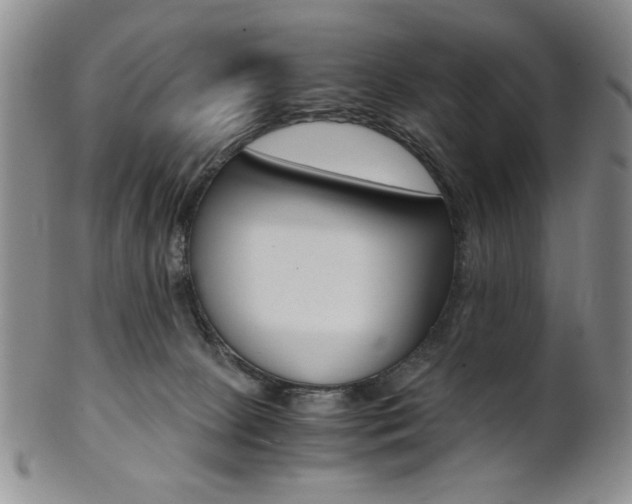 X0000101680081200807101154