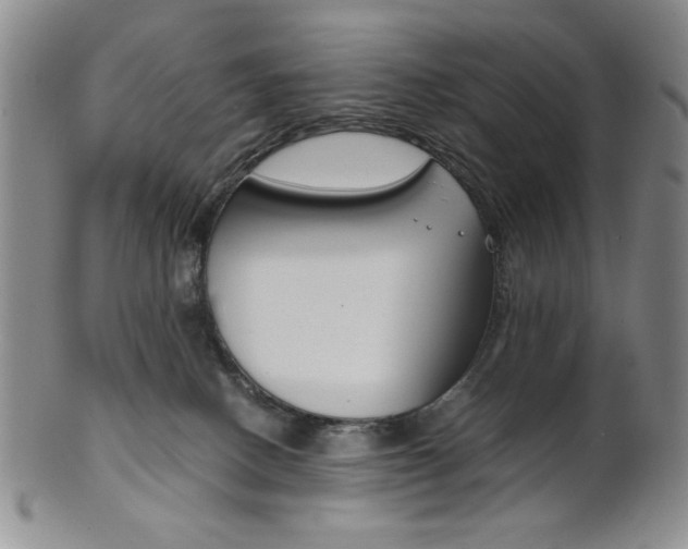 X0000101680082200807101154