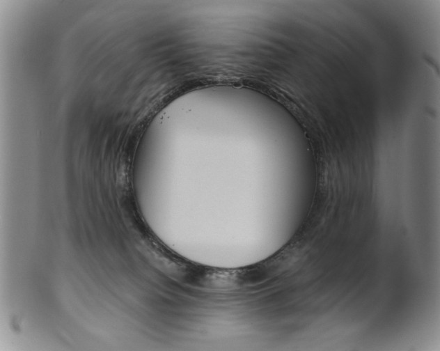 X0000101680084200807101154