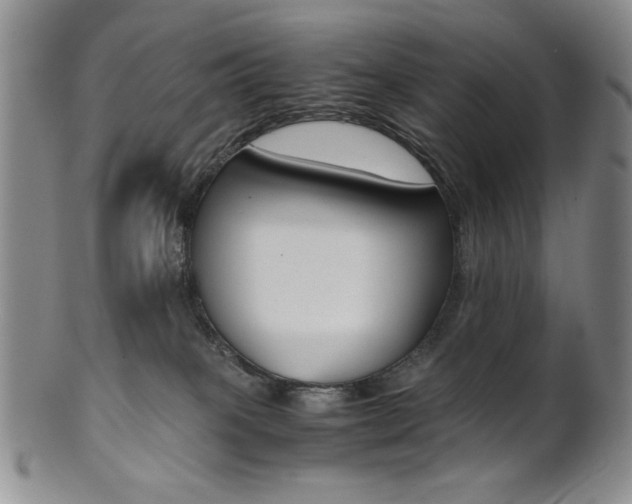 X0000101680085200807101154