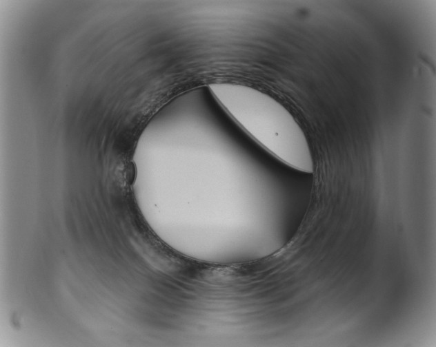 X0000101680086200807101154