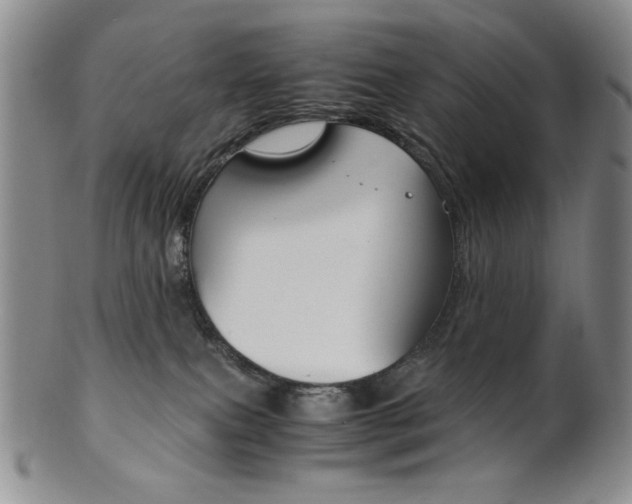 X0000101680087200807101154