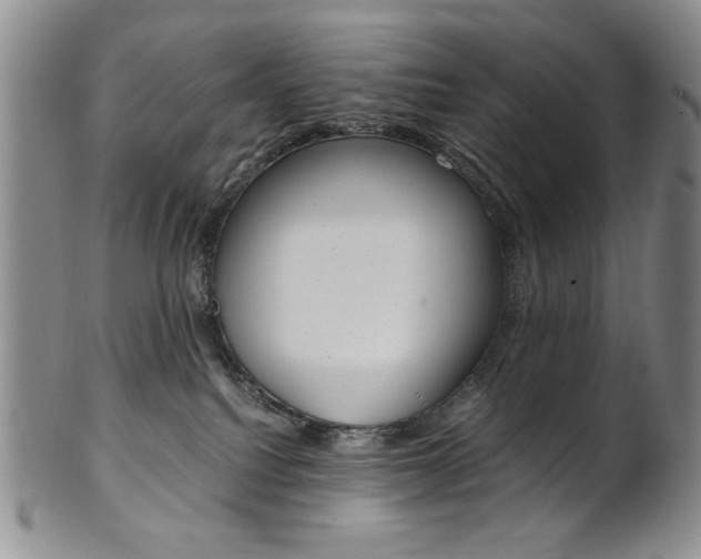 X0000101680088200807101154