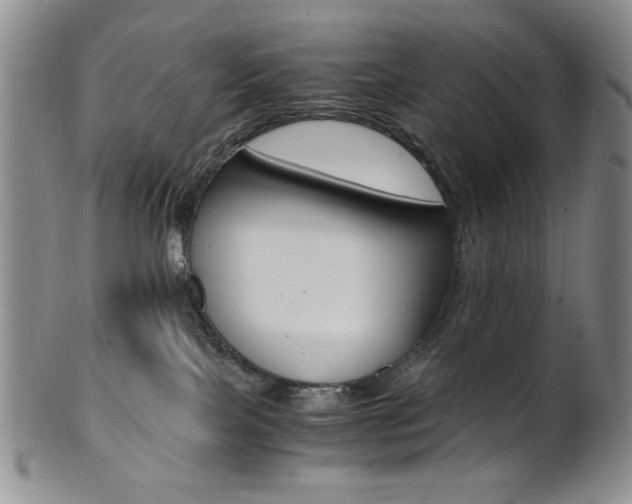 X0000101680089200807101154