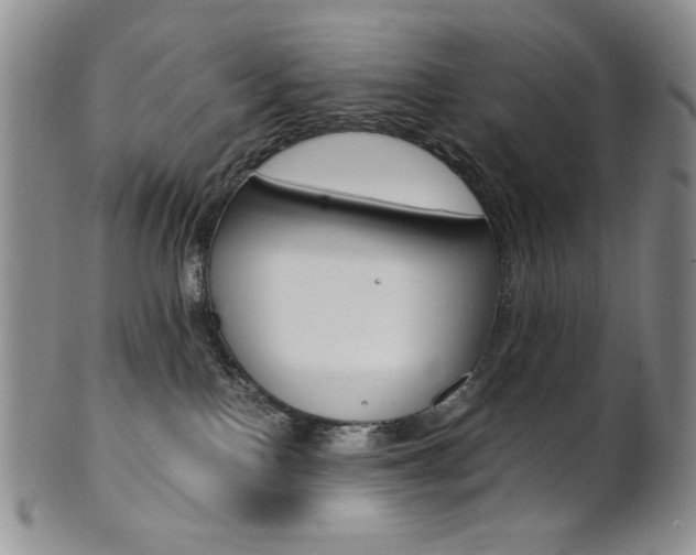 X0000101680090200807101154