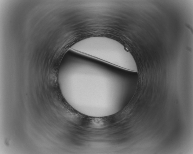 X0000101680091200807101154