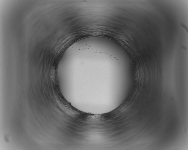 X0000101680092200807101154