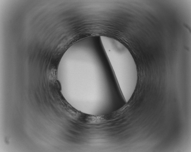 X0000101680093200807101154