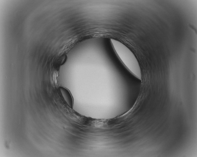 X0000101680094200807101154