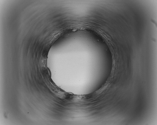 X0000101680096200807101154