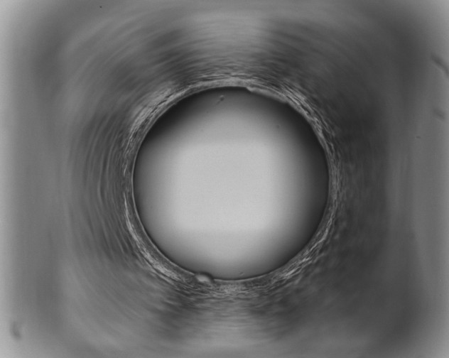 X0000101680097200807101154