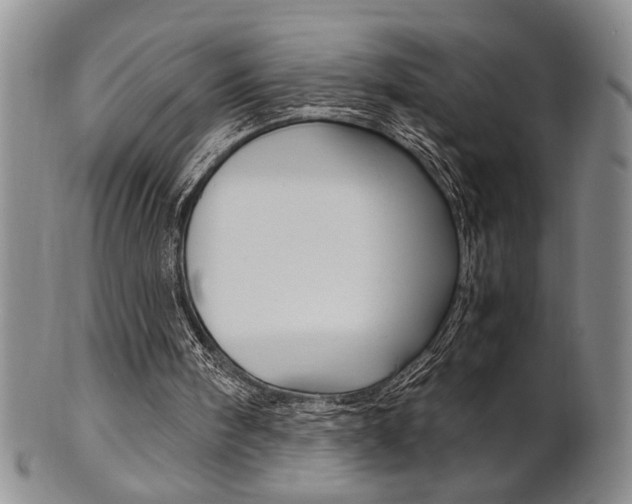 X0000101680098200807101154