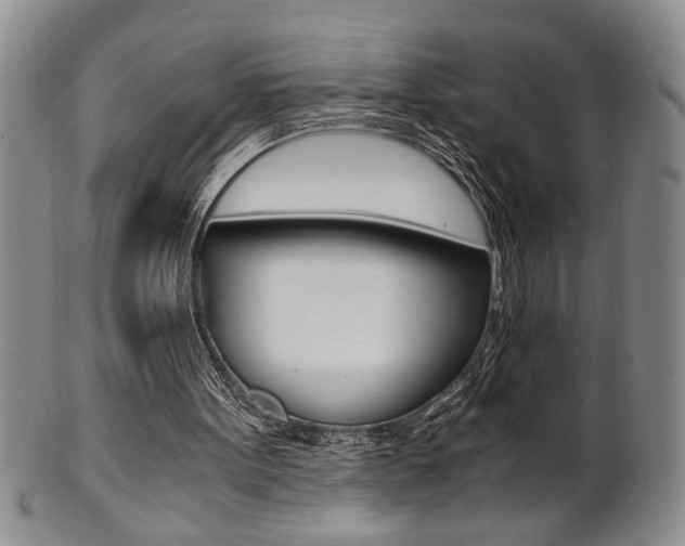 X0000101680099200807101154