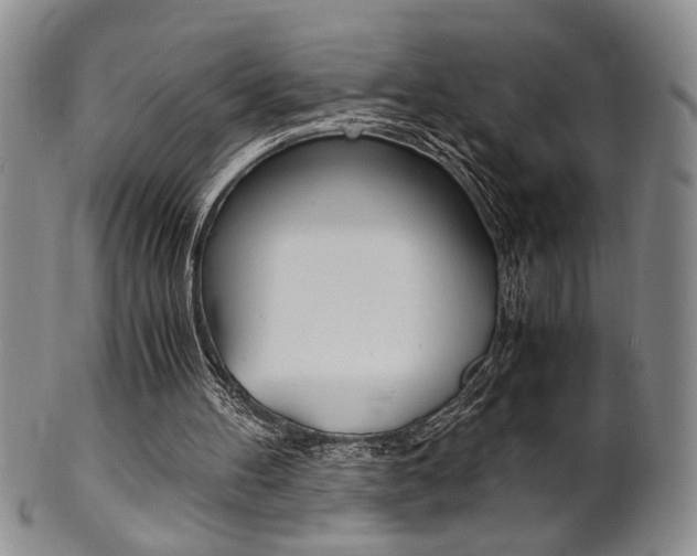 X0000101680100200807101154