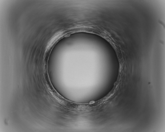 X0000101680101200807101154