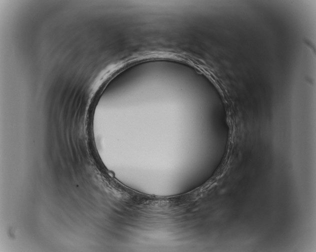 X0000101680104200807101154