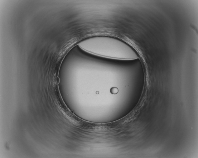 X0000101680105200807101154