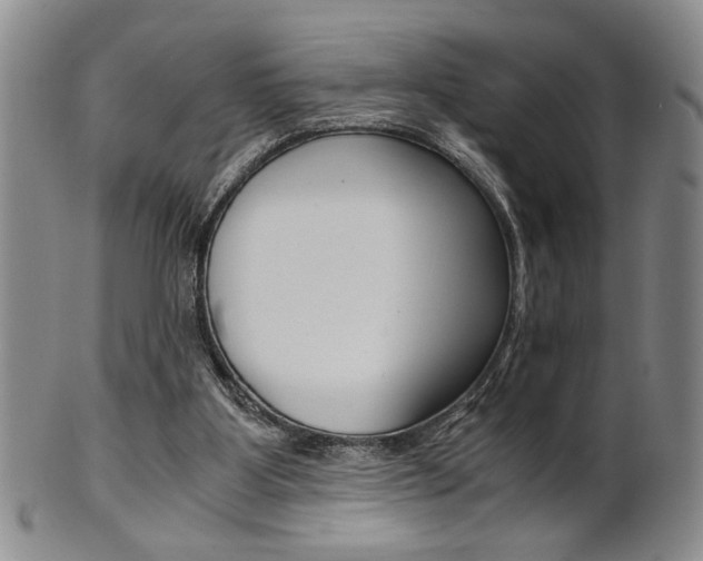 X0000101680107200807101154