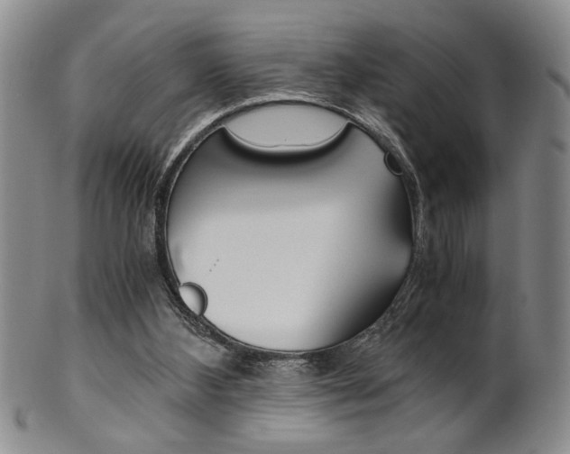 X0000101680108200807101154