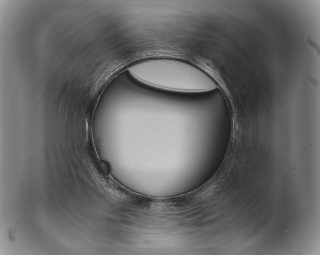 X0000101680109200807101154