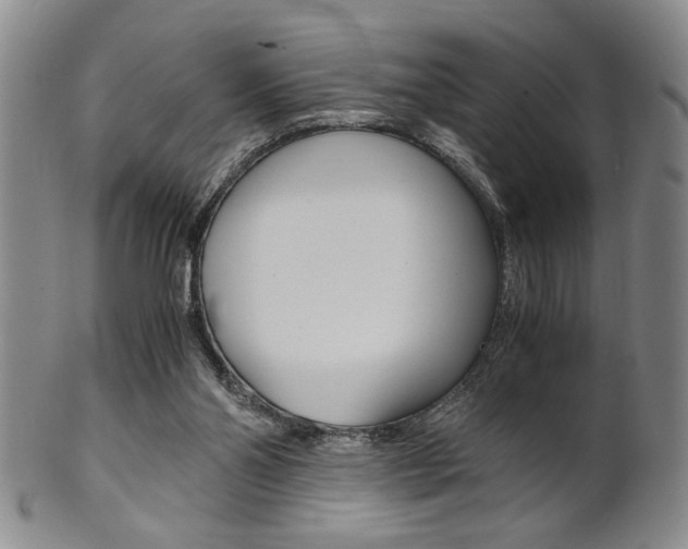 X0000101680110200807101154