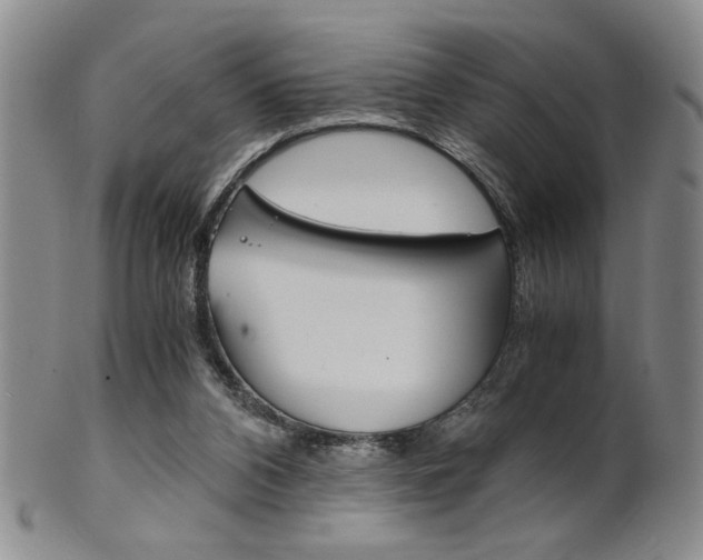 X0000101680112200807101154