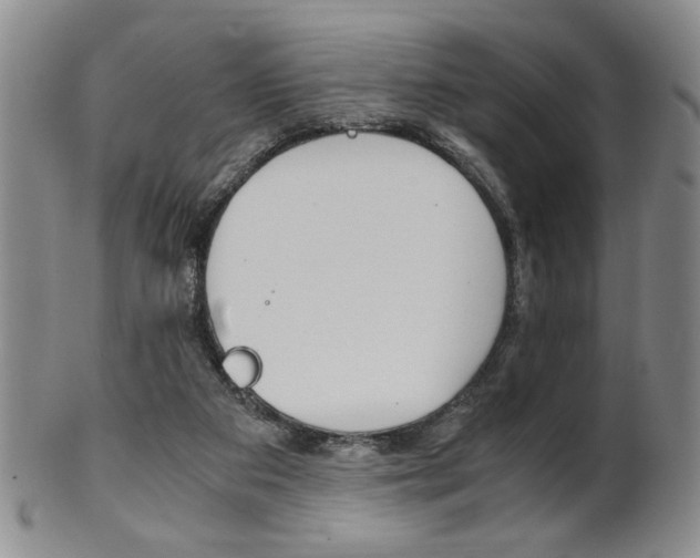 X0000101680113200807101154