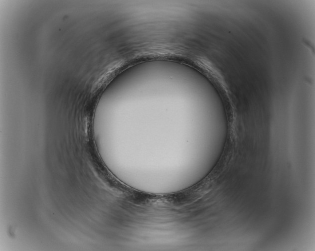 X0000101680115200807101153