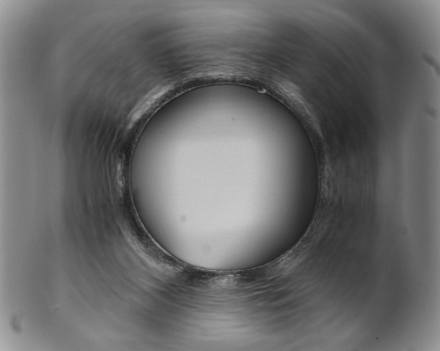 X0000101680116200807101153