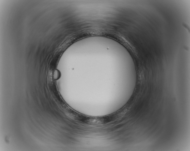 X0000101680117200807101153