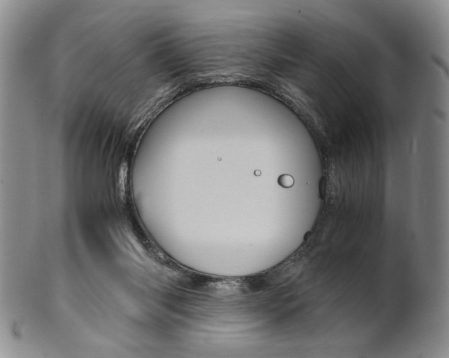 X0000101680118200807101153