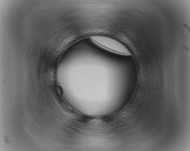 X0000101680119200807101153