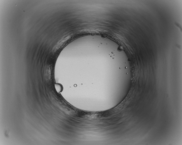 X0000101680120200807101153