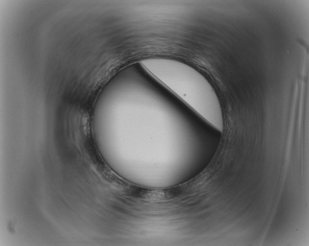 X0000101680123200807101153