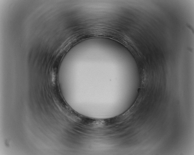 X0000101680124200807101153