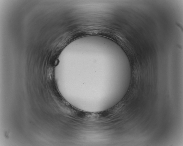 X0000101680125200807101153