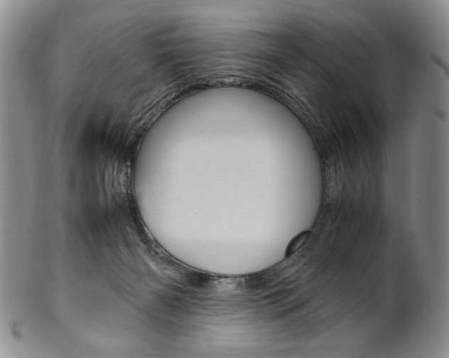 X0000101680126200807101153